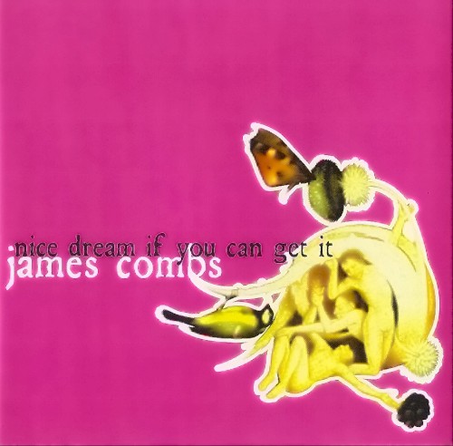 Nice Dream If You Can Get It