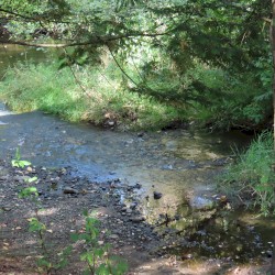 Bothell, WA (10-01-2024)