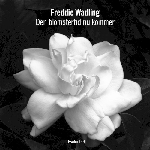 Den blomstertid nu kommer