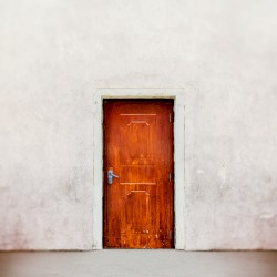 The Door - Stripped