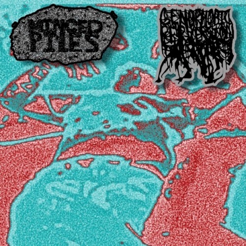 Minced Piles x Genophobic Perversion