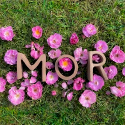 MOR