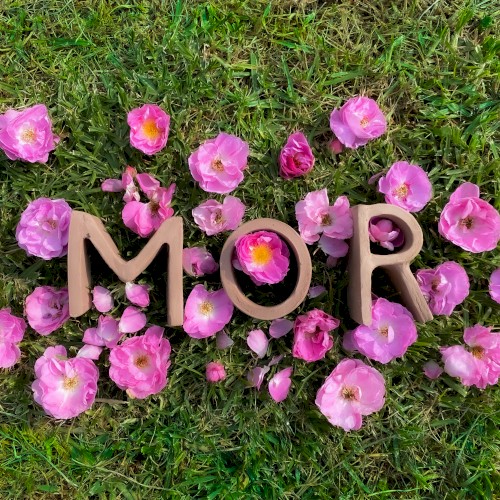 MOR