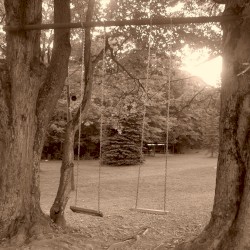 Hakshivu Na