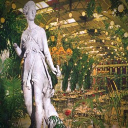 植生寿像望郷 (Vegetation & Statue)
