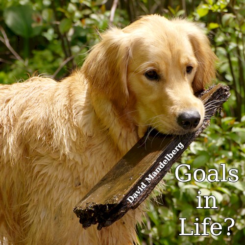 Goals in Life?