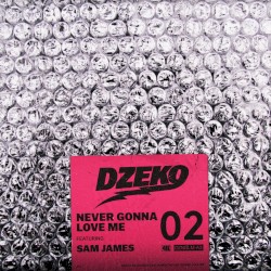 Never Gonna Love Me