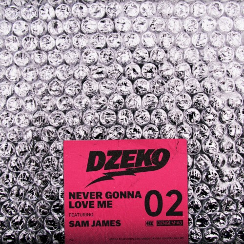 Never Gonna Love Me