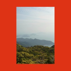 The View From Tian Tan