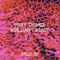Split EP