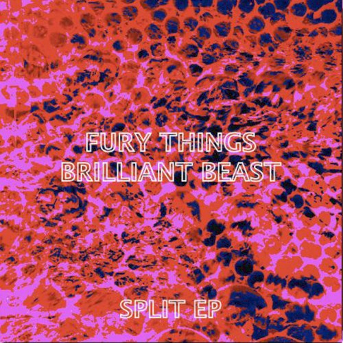Split EP