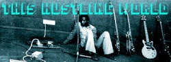 Voodoo Funk - This Hustling World