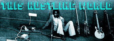 Voodoo Funk - This Hustling World