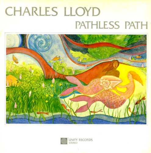Pathless Path
