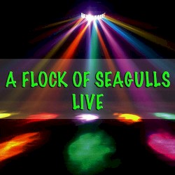 A Flock of Seagulls - Live