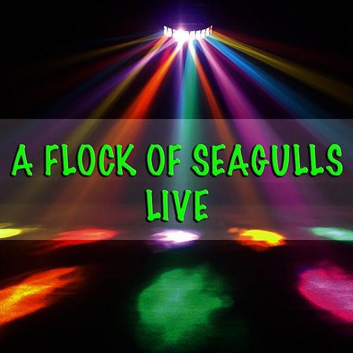 A Flock of Seagulls - Live