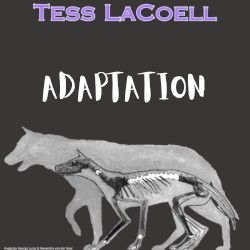 Adaptation