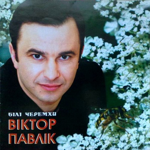 Білі черемхи