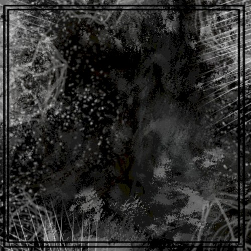 thaw