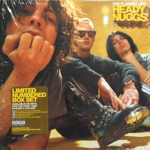 Heady Nuggs: The First 5 Warner Bros. Records 1992-2002