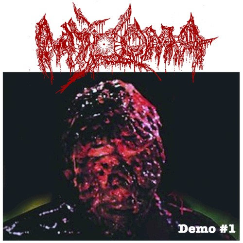Demo #1