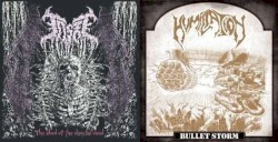 Bullet Storm / The Blood of the Disaster Dead