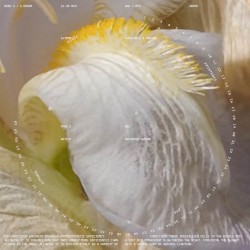 Nix Narcissus
