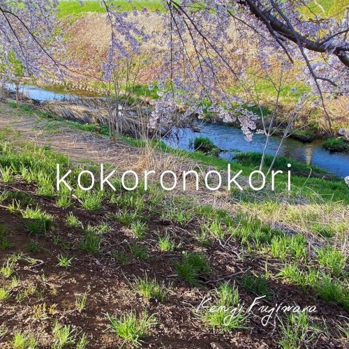 kokoronokori
