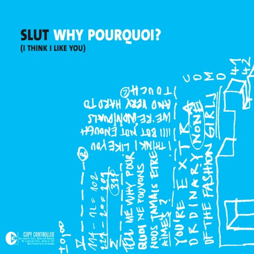 Why Pourquoi? (I Think I Like You)