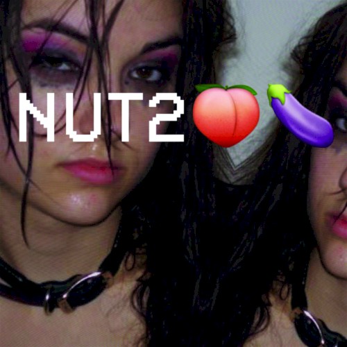 Nut 2