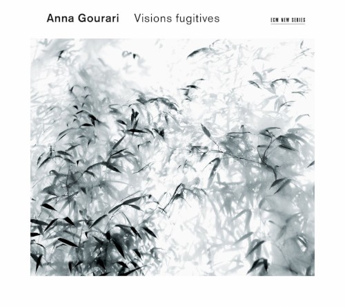 Visions fugitives