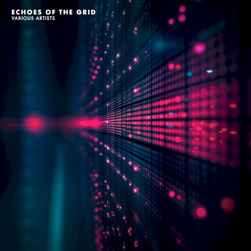 Echoes of the Grid