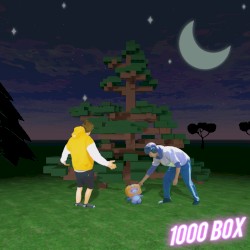1000 box