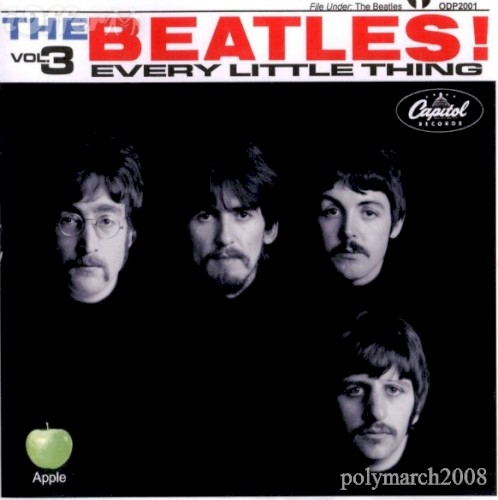 Every Little Thing, Volume 3