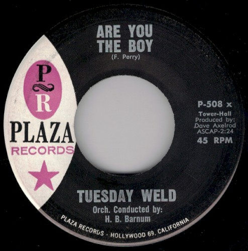 Are You the Boy? / All Through Spring and Summer