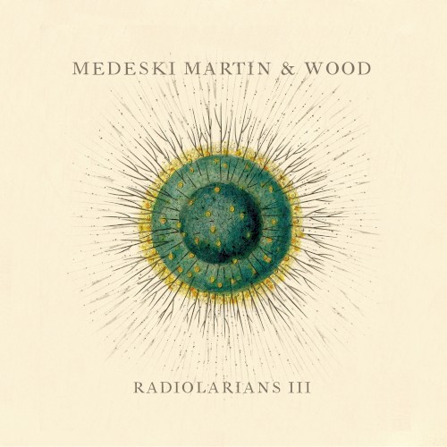Radiolarians III