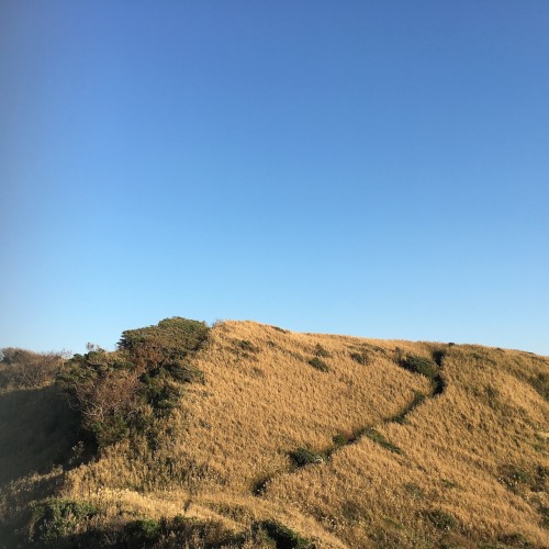 Hayama Ambient 012
