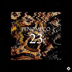 23