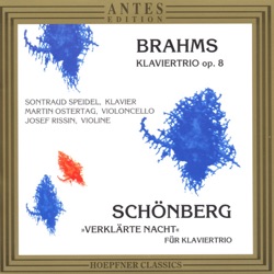 Brahms: Klaviertrio, op. 8 / Schönberg: „Verklärte Nacht“ für Klaviertrio