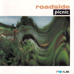 Roadside Picnic