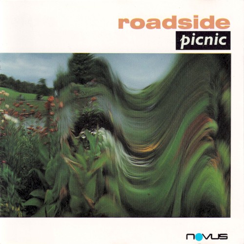 Roadside Picnic