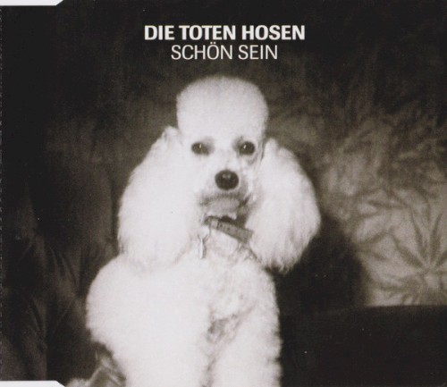 Schön sein