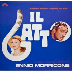 Il gatto