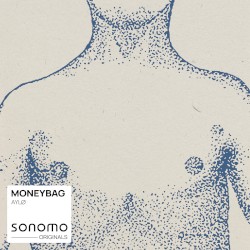 Moneybag