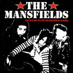 Loud, Fast, Punk, Trash, Rock 'n' Roll