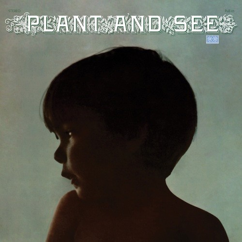 Plant and See