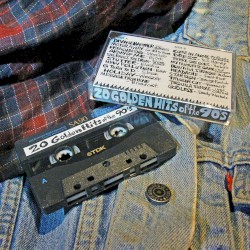 20 Golden Hits of the 90's