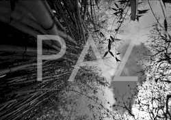 Paz