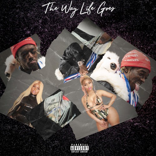 The Way Life Goes (remix)