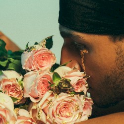 Les fleurs fanées du sel